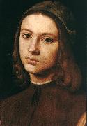 PERUGINO, Pietro Portrait of a Young Man (detail) af Norge oil painting reproduction